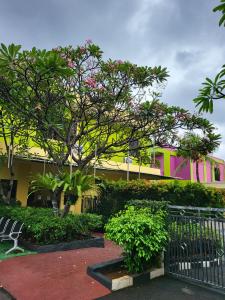 雅加达RedDoorz Plus near Dunia Fantasi Ancol的粉红色和黄色的建筑,有树和灌木