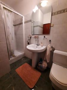 万塔西西TIZA Apartments的一间带水槽、卫生间和镜子的浴室