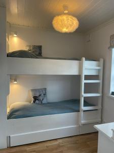 耶尔夫瑟Mysig stuga med sjötomt, nära Järvsöbacken的一间卧室设有两张双层床和梯子