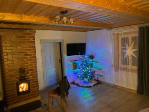 CesvaineDzirnavkalns的客厅配有圣诞树和壁炉