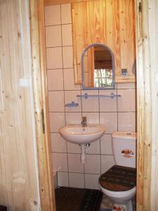 Białka TatrzanskaAgroturystyka u Marii的一间带水槽和卫生间的小浴室