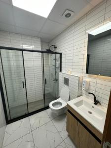 伊斯坦布尔İN HOUSE SUİTE的一间带卫生间和水槽的浴室