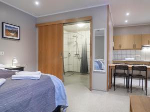 塞济斯菲厄泽Studio Apartments的一间卧室配有一张床、一间厨房和一间浴室。