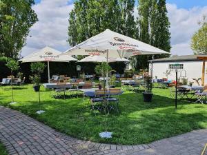 克桑滕斯比肯曼娜兰德宫酒店的草丛中的一组桌子和伞