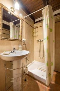 米兰达德尔卡斯塔尼亚尔CASA PETRA的浴室配有水槽、淋浴和浴缸。