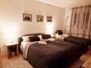 萨拉热窝Luxury Apartment EMAS Old town Sarajevo dream view的一间卧室设有两张床和窗户。