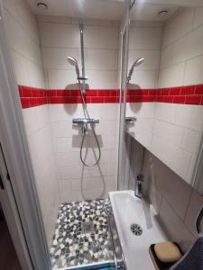巴黎Charmant studio fonctionnel的带淋浴和盥洗盆的小浴室