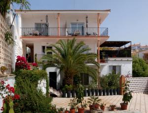 El PaloCasa Malaga的前面有棕榈树的房子