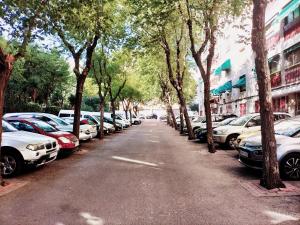 马德里Acogedora Habitación en Madrid的树木繁茂的街道上停放的一排汽车