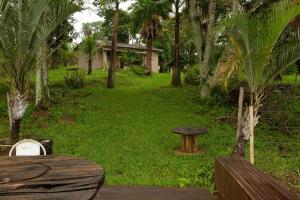贝廷Chacara com WiFi de frente a lagoa em Betim MG的绿色庭院,配有桌子、长凳和棕榈树
