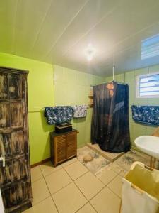 勒唐蓬Case Vi d' o'的绿色浴室设有淋浴和水槽