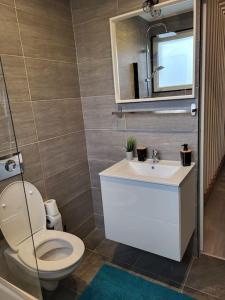 马尔桑奈拉科特Cosy Loft - Appartement de charme的一间带卫生间、水槽和镜子的浴室