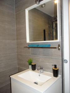 马尔桑奈拉科特Cosy Loft - Appartement de charme的浴室设有白色水槽和镜子