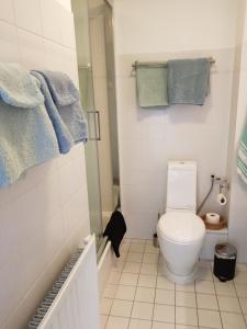 埃尔斯特Casa Paz的浴室配有卫生间和墙上的毛巾。