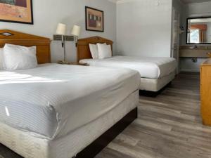 旧金山Motel 6 San Francisco CA Lombard Street的一间酒店客房,房间内设有两张床