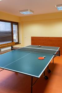 波罗维茨巴尔别墅酒店的乒乓球桌,带乒乓球桌的房间