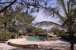 PalmarinLes Collines De Niassam的棕榈树度假村内的游泳池