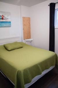 圣弗拉维Chalet Le Marin à 5 minutes du centre ville的一间卧室配有一张带绿毯的床