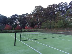 AshbourneThe Retreat at Amryhouse的网球场上的网球网