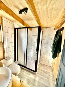 普孔Molco Cabins Palafito的带淋浴、卫生间和盥洗盆的浴室