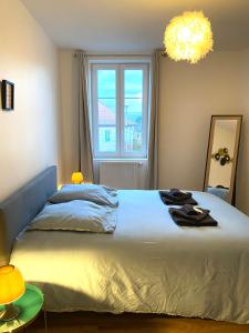 万泽内姆Duplex moderne à 10 minutes de Colmar的一间卧室设有一张大床和窗户