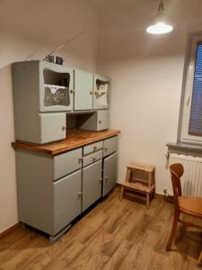 耶德利纳-兹德鲁伊Apartament Borówka的厨房的台面上配有微波炉