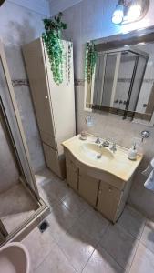 马德普拉塔“Chalet Carrasco” totalmente equipado的一间带水槽和镜子的浴室