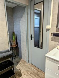 卡尔卡松Appartement Lila的一间带门和水槽的浴室