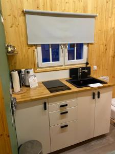 哈姆Tiny House Ahse im PIER9 Tiny House Hotel的厨房配有水槽和台面