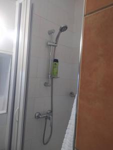 博兹达尔Apartmány u Torína的带淋浴喷头的浴室
