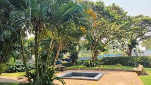 阿比让Signal Appartments的棕榈树花园和长凳上的游泳池