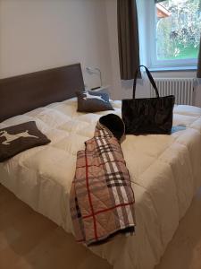 费拉迪普利米罗Appartamenti Primiero的一张带两个枕头的床,上面有袋子