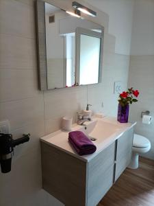 费拉迪普利米罗Appartamenti Primiero的一间带水槽、镜子和卫生间的浴室