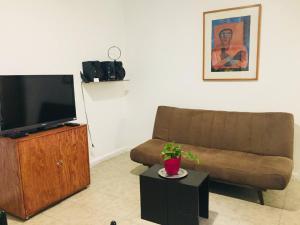 墨西哥城Department, Studio Type Excellent Location的带沙发和平面电视的客厅