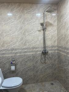 MusalerrTouristic House KAEL的带淋浴和卫生间的浴室。