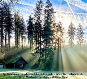 SchlierFuchsenlohe的森林的画,阳光照耀着树木