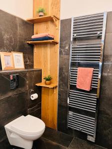 欧塞尔Charmant appartement plein centre ville - parking privé的一间带卫生间和黑色墙壁的浴室