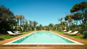 普拉Sant Efis Hotel的一个带躺椅的游泳池,棕榈树