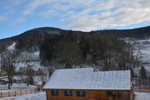卡缅纳古拉Pod Zielonym Dachem的田野上带雪盖屋顶的房子