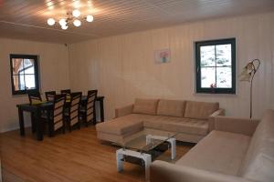 卡缅纳古拉Pod Zielonym Dachem的客厅配有沙发和桌子
