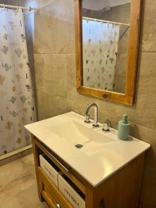 Vista FloresPergolas Guest House - Pileta, Vinos y Montaña的一间带水槽、镜子和淋浴的浴室