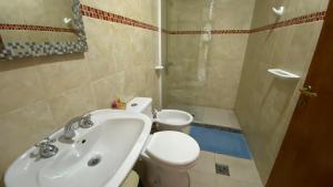 马拉圭Alojamiento Coihueco的一间带水槽、卫生间和淋浴的浴室