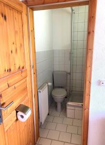 KreuzauAppartementhaus Schlagstein App1的一间带卫生间和淋浴的小浴室
