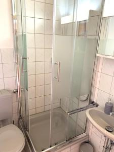 KreuzauAppartementhaus Schlagstein App1的带淋浴、卫生间和盥洗盆的浴室