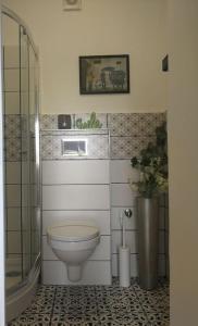 佩奇CASA MINI 5的一间带卫生间和淋浴的浴室