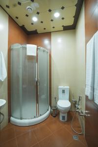 巴库Ogguesto Hotel的带淋浴和卫生间的浴室