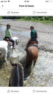 Dernicenido d'amore的两个人骑着马穿过一条有动物的河流