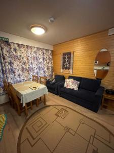 萨利色尔卡Outapailakka K19的客厅配有沙发和桌子