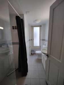 因特拉肯市中心公寓的带淋浴、盥洗盆和卫生间的浴室
