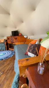 卡皮亚德尔德尔蒙特Domo Cielos del Uritorco的一间卧室配有一张床,铺有木地板